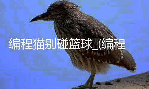 编程猫别碰篮球_(编程猫物体碰到物体怎么加分)