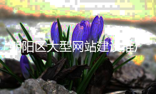 朝阳区大型网站建设推广(朝阳区大型网站建设推广公司)