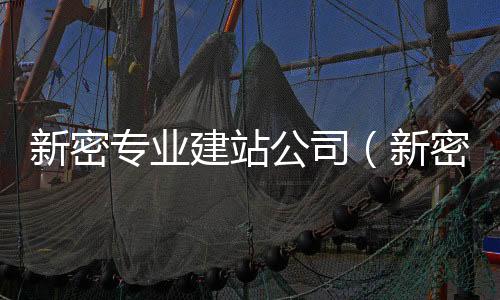 新密专业建站公司(新密2021开工项目)