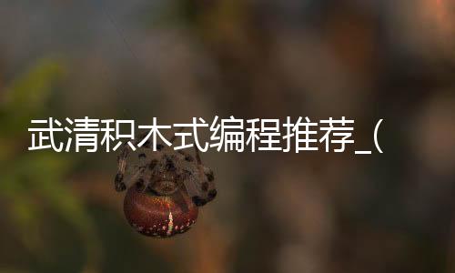 武清积木式编程推荐_(积木编程机器人课怎么样)