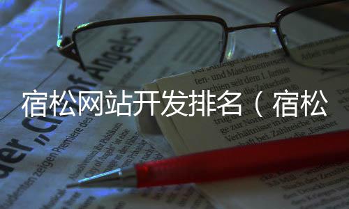 宿松网站开发排名(宿松论坛招聘信息最近)