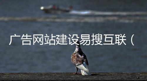 广告网站建设易搜互联（易搜推广）